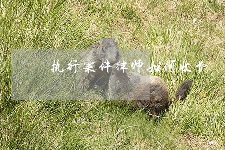 执行案件律师如何收费