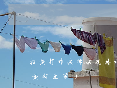 扫黄打非法律法规培训通知(2020年扫黄新政策)