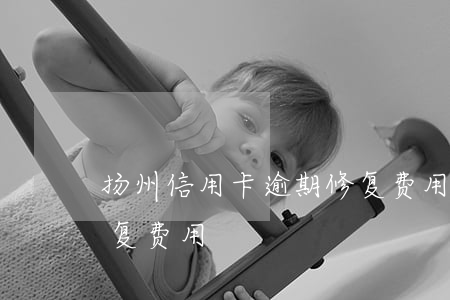 扬州信用卡逾期修复费用(扬州信用卡逾期修复费用)