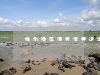 扬州地区债务律师选谁(扬州最厉害的律师)