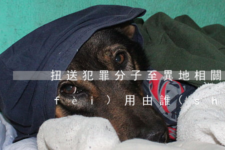 扭送犯罪分子至異地相關(guān)費(fèi)用由誰(shuí)出