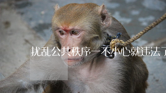 扰乱公共秩序，一不小心就违法了