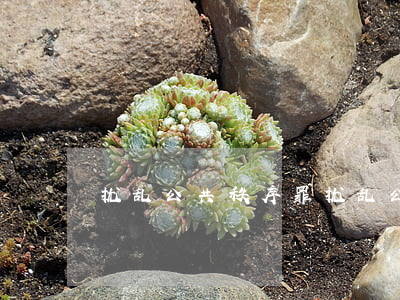 扰乱公共秩序罪(扰乱公共秩序罪包括哪些)