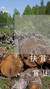 扶貧小額信用貸款逾期(扶貧小額信貸對支持貧困群眾)