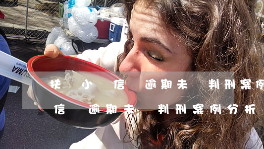 扶貧小額信貸逾期未還判刑案例-扶貧小額信貸逾期未還判刑案例分析