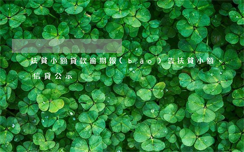 扶貧小額貸款逾期報(bào)告(扶貧小額信貸公示)