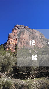 扶貧小額貸款逾期征信(貧困戶貸款征信不好能貸款嗎)