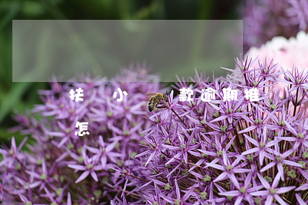 扶貧小額貸款逾期推進會(扶貧戶貸款逾期會怎樣?)