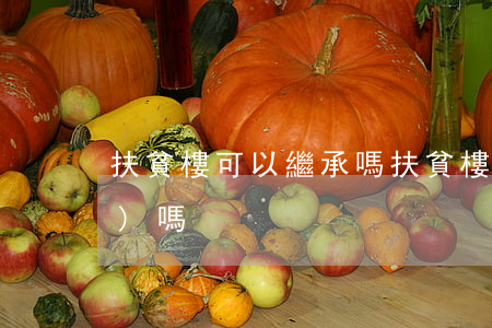 扶貧樓可以繼承嗎(扶貧樓房可以賣(mài)嗎)