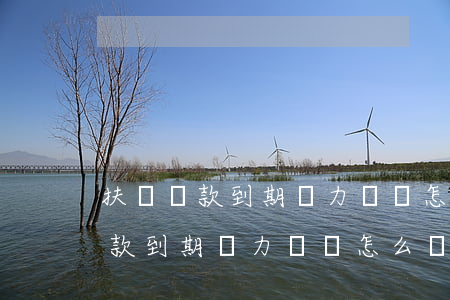扶貧貸款到期無力償還怎么辦利息-扶貧貸款到期無力償還怎么辦利息高