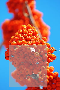 扶貧貸款可以逾期影響房貸嗎