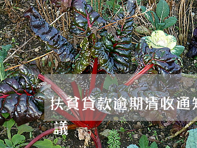 扶貧貸款逾期清收通知 扶貧貸款逾期清收建議