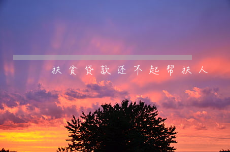 扶贫贷款还不起帮扶人