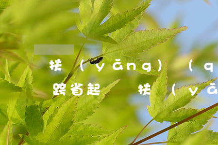 扶養(yǎng)權(quán)訴訟可以跨省起訴嗎(扶養(yǎng)權(quán)訴訟可以跨省起訴嗎)