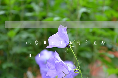 批房貸之間信用卡逾期-用信用卡影響批房貸嗎