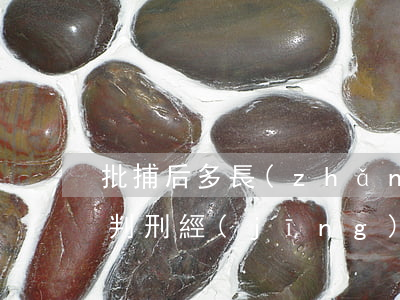 批捕后多長(zhǎng)時(shí)間判刑(經(jīng)濟(jì)案批捕后多長(zhǎng)時(shí)間判刑)
