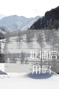 批捕后律师可以做什么(如果被批捕请律师有用吗)