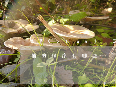 批準(zhǔn)決定和執(zhí)行逮捕的程序有哪些