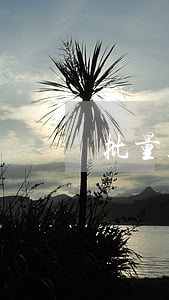 批量正常轉逾期是什么意思