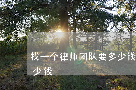 找一个律师团队要多少钱(找一个律师需要多少钱)