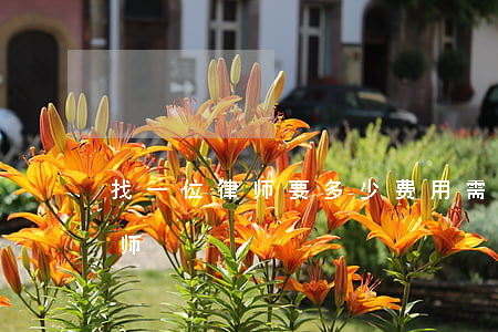 找一位律师要多少费用(需要多少律师费用律师)