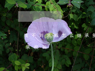 找不到亲戚怎么继承(多年不联系的亲属有继承权吗)