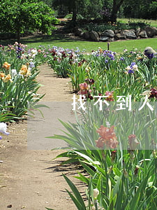 找不到人怎么離婚(夫妻找不到人怎么離婚)