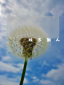 找不到人離婚孩子怎么辦