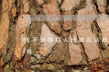 找不到借錢人找誰起訴(找不到借錢人能報警嗎)