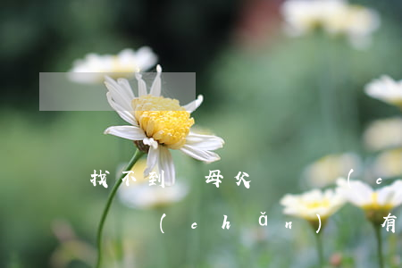 找不到繼母父親遺產(chǎn)怎么繼承(遺產(chǎn)沒有繼承人怎么辦?)