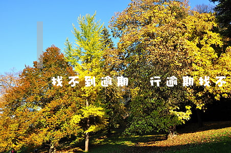 找不到逾期銀行 逾期找不到還款人