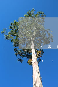 找不著債務(wù)人應(yīng)向誰(shuí)討債