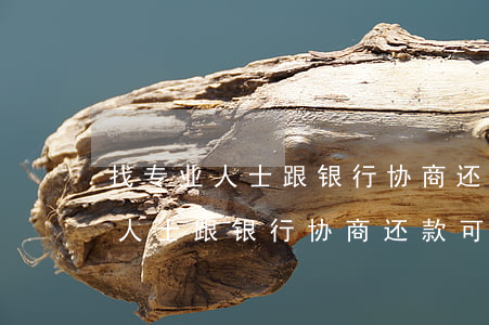 找专业人士跟银行协商还款可靠吗-找专业人士跟银行协商还款可靠吗安全吗
