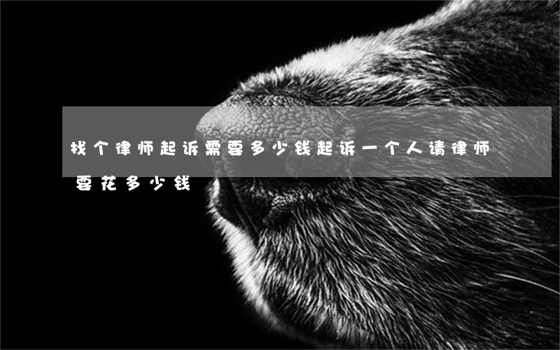 找个律师起诉需要多少钱(起诉一个人请律师要花多少钱)
