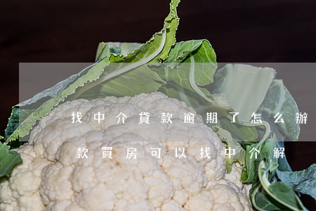 找中介貸款逾期了怎么辦(信用卡逾期不能貸款買房可以找中介解決嗎)
