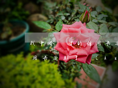 找中介辦理的信用卡逾期了(找中介辦理的信用卡逾期了會(huì)怎么樣)