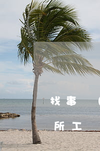 找事務(wù)所需要多少錢(事務(wù)所工資)