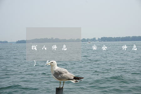 找人停息掛賬安全嗎(停息掛賬聯(lián)系誰)
