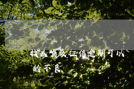 找人屏蔽征信逾期可以嗎(去哪可以屏蔽征信的不良記錄)
