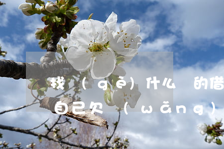找個(gè)什么樣的借口說(shuō)自己欠網(wǎng)貸-找個(gè)什么樣的借口說(shuō)自己欠網(wǎng)貸呢