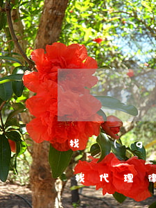 找個(gè)代理律師多少費(fèi)用(找代理律師怎么收費(fèi))