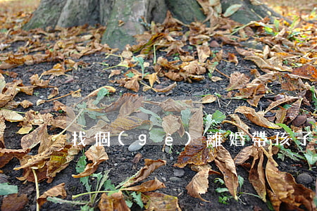 找個(gè)離婚帶孩子的女人