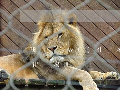 找債務(wù)律師深圳-找債務(wù)律師深圳