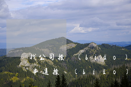 找公司投標(biāo)會構(gòu)成串通投標(biāo)嗎