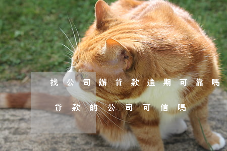 找公司辦貸款逾期可靠嗎(專業(yè)辦理貸款的公司可信嗎)