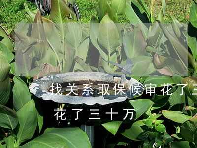 找关系取保候审花了三十万(找关系取保候审花了三十万)