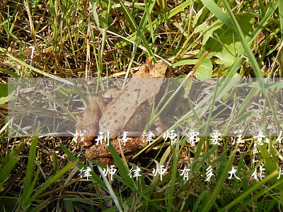 找刑事律师需要注意什么(刑事案件要不要请律师 律师有多大作用) 找刑事律师需要注意什么(刑事案件要不要请律师 律师有多大作用)