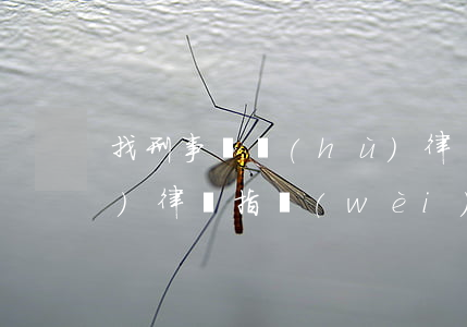 找刑事辯護(hù)律師(找刑事辯護(hù)律師指衛(wèi)星Lady_Siuiy)