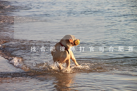 找合肥律師打官司(合肥靠譜的律師事務(wù)所)