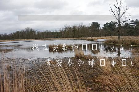 找吉安泰和債務(wù)合同律師在線咨詢-吉安泰和律師事務(wù)所